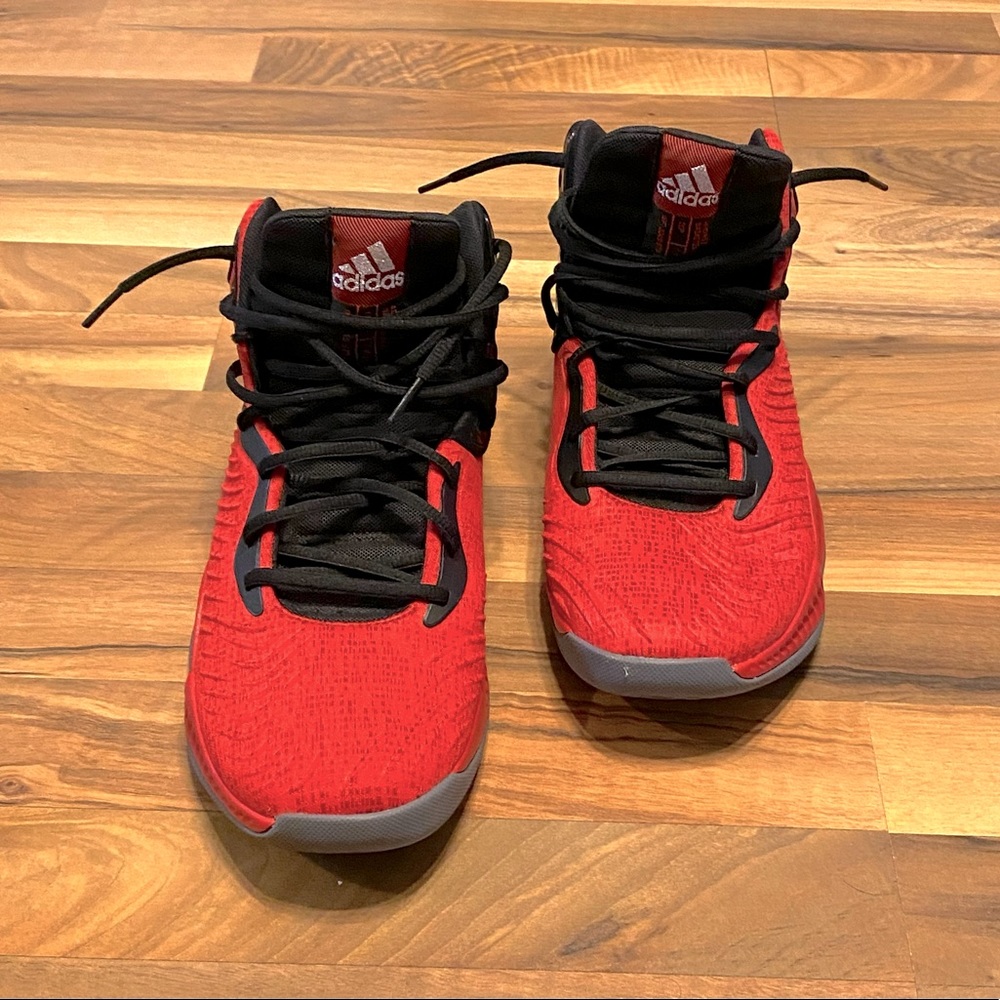 Adidas / Basketball Hi-tops